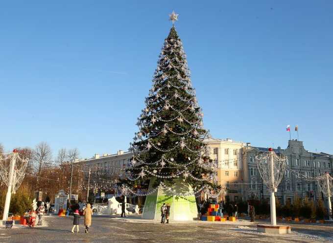 В Москве задержали преступника, укравшего рождественскую елку в центре города