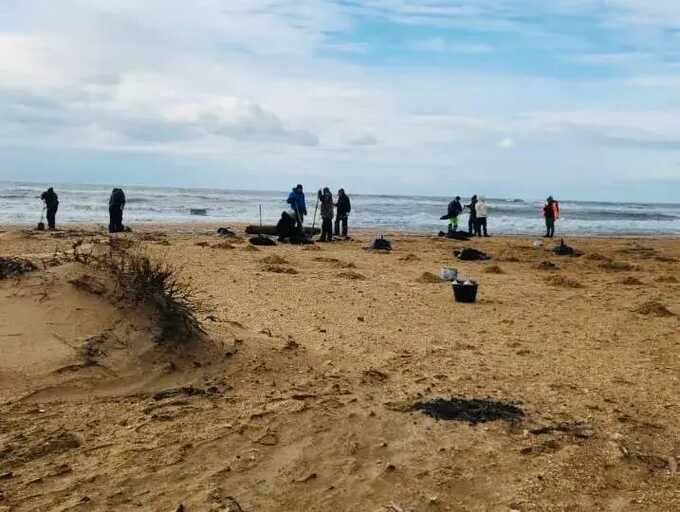 Волонтёры жалуются на ухудшение здоровья после очистки мазута в Краснодарском крае