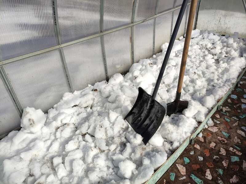 Полиция не заметила токсичный снег в Лангепасе, экологи настаивают на проведении дополнительной проверки