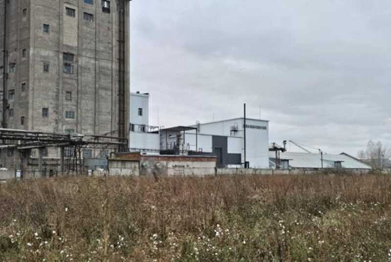 В Ачинске приостановлено производство рапса из-за разногласий с местными властями