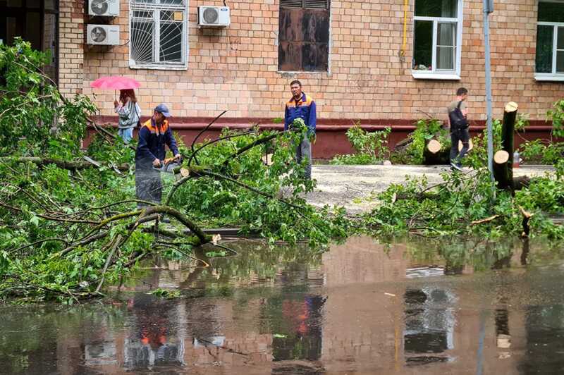 В интернете стали появляться снимки последствий мощного урагана в Москве