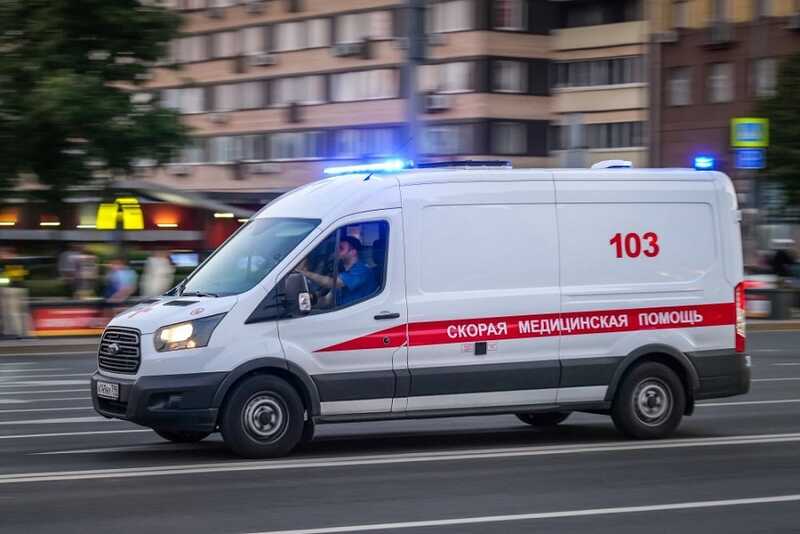 В Мурманске породистый пес напал на маленького ребенка
