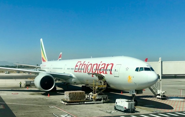 Самолет Ethiopian Airlines потерпел крушение по пути в Найроби: 157 человек погибло