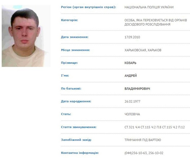 Верхогляд
