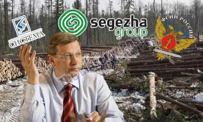 От "сумы и тюрьмы": как Segezha Group "дружит" со ФСИН